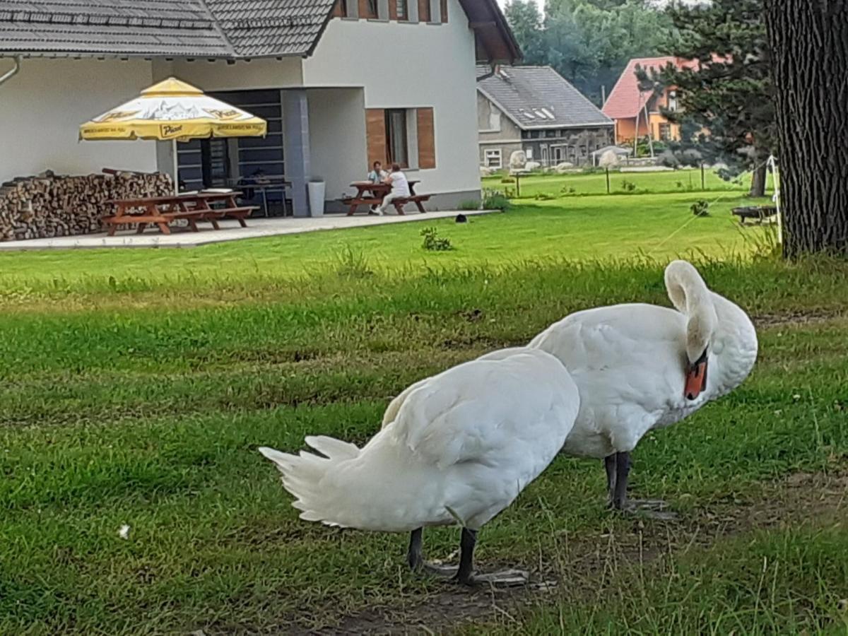 Agroturystyka Aura Kostrzyca Eksteriør bilde