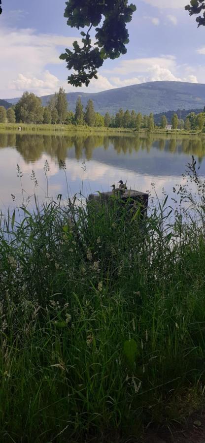 Agroturystyka Aura Kostrzyca Eksteriør bilde