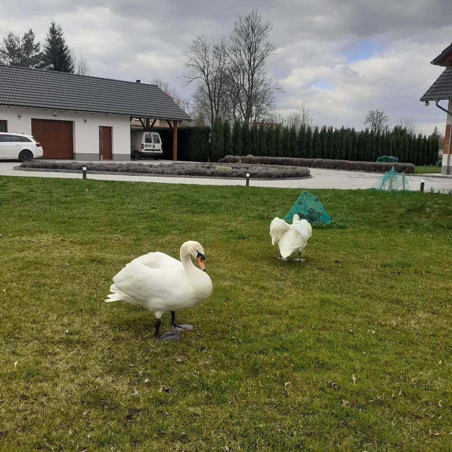 Agroturystyka Aura Kostrzyca Eksteriør bilde